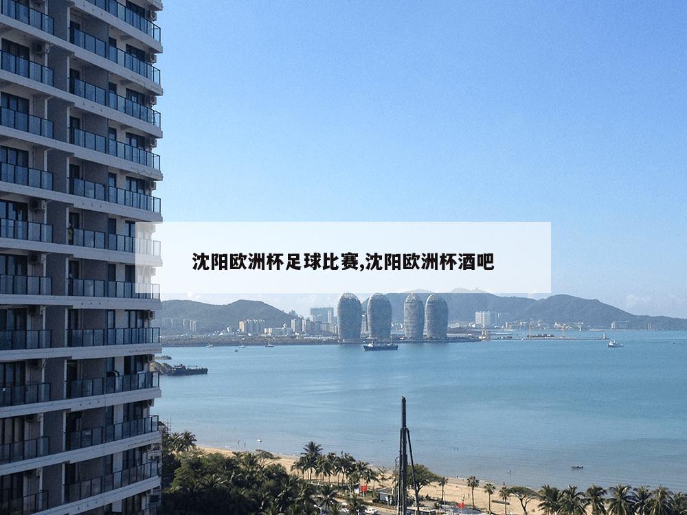 沈阳欧洲杯足球比赛,沈阳欧洲杯酒吧