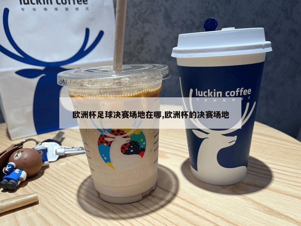 欧洲杯足球决赛场地在哪,欧洲杯的决赛场地