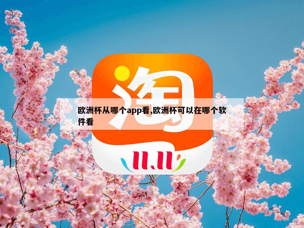 欧洲杯从哪个app看,欧洲杯可以在哪个软件看