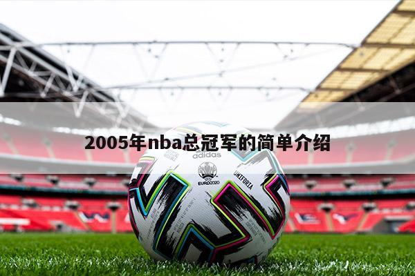 2005年nba总冠军的简单介绍