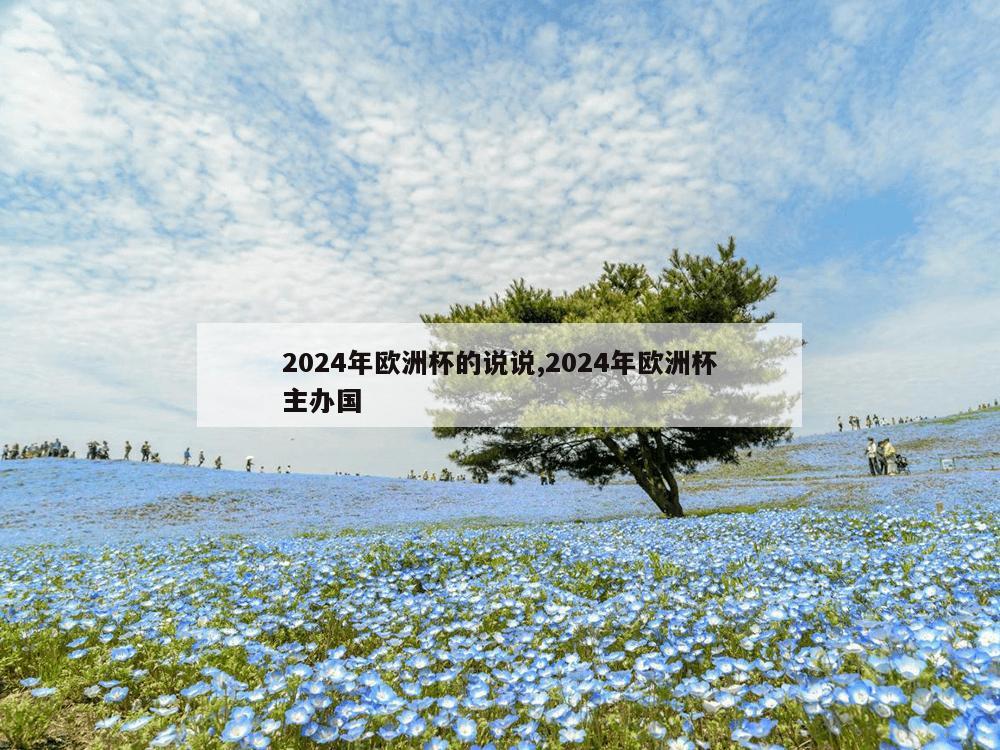 2024年欧洲杯的说说,2024年欧洲杯主办国