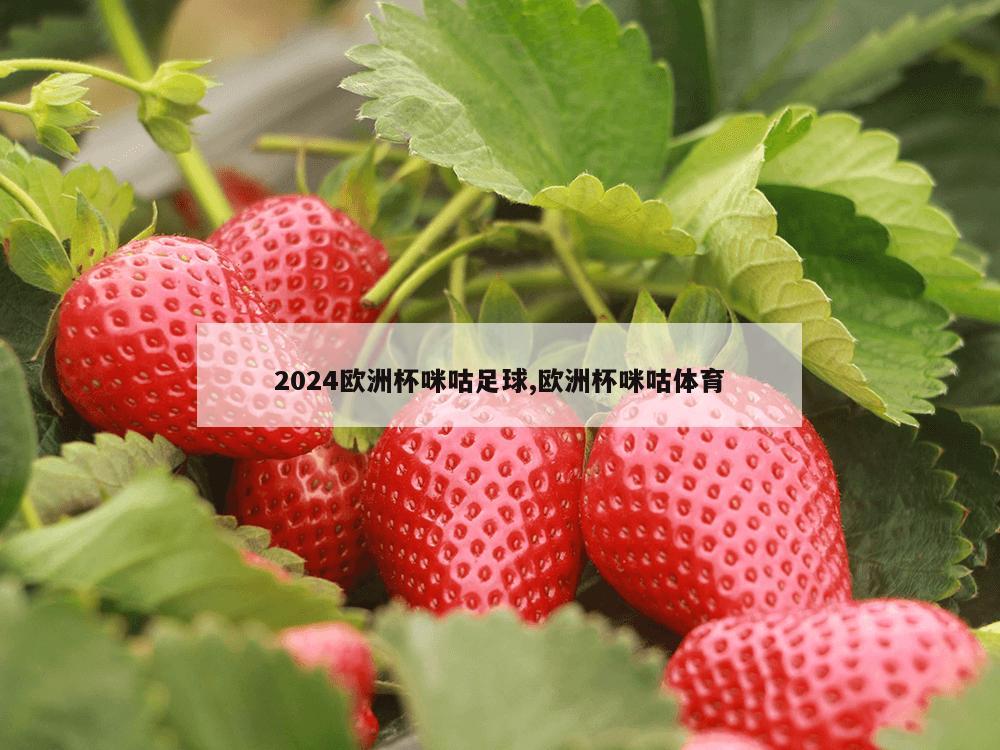 2024欧洲杯咪咕足球,欧洲杯咪咕体育