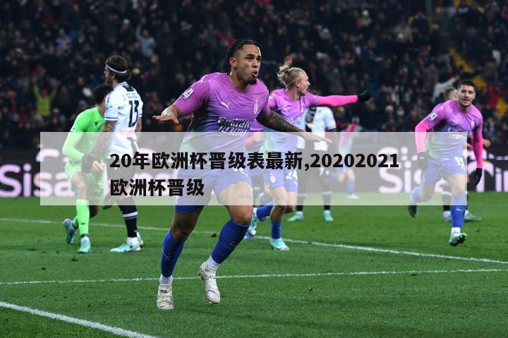 20年欧洲杯晋级表最新,20202021欧洲杯晋级