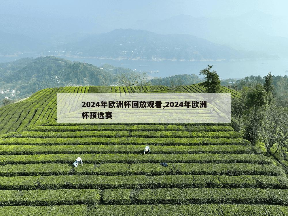 2024年欧洲杯回放观看,2024年欧洲杯预选赛