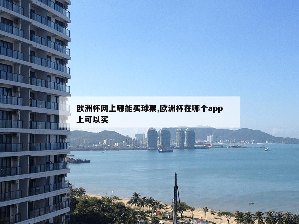 欧洲杯网上哪能买球票,欧洲杯在哪个app上可以买