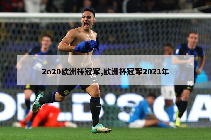 2o20欧洲杯冠军,欧洲杯冠军2021年