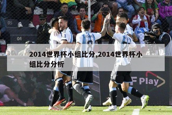 2014世界杯小组比分,2014世界杯小组比分分析