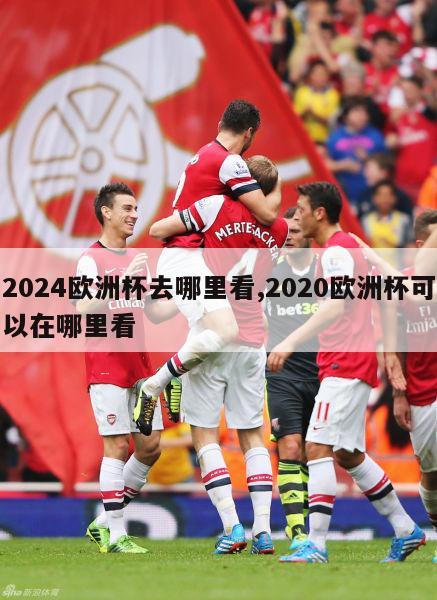 2024欧洲杯去哪里看,2020欧洲杯可以在哪里看